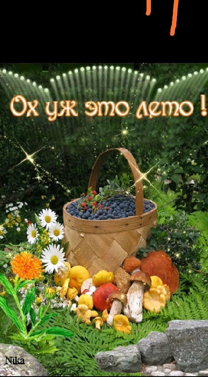 Теплого лета открытки