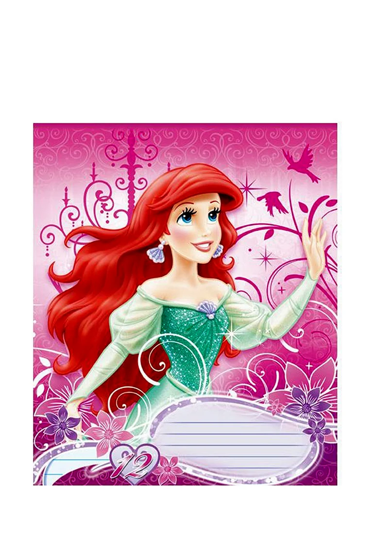 Тетрадь принцессы Disney