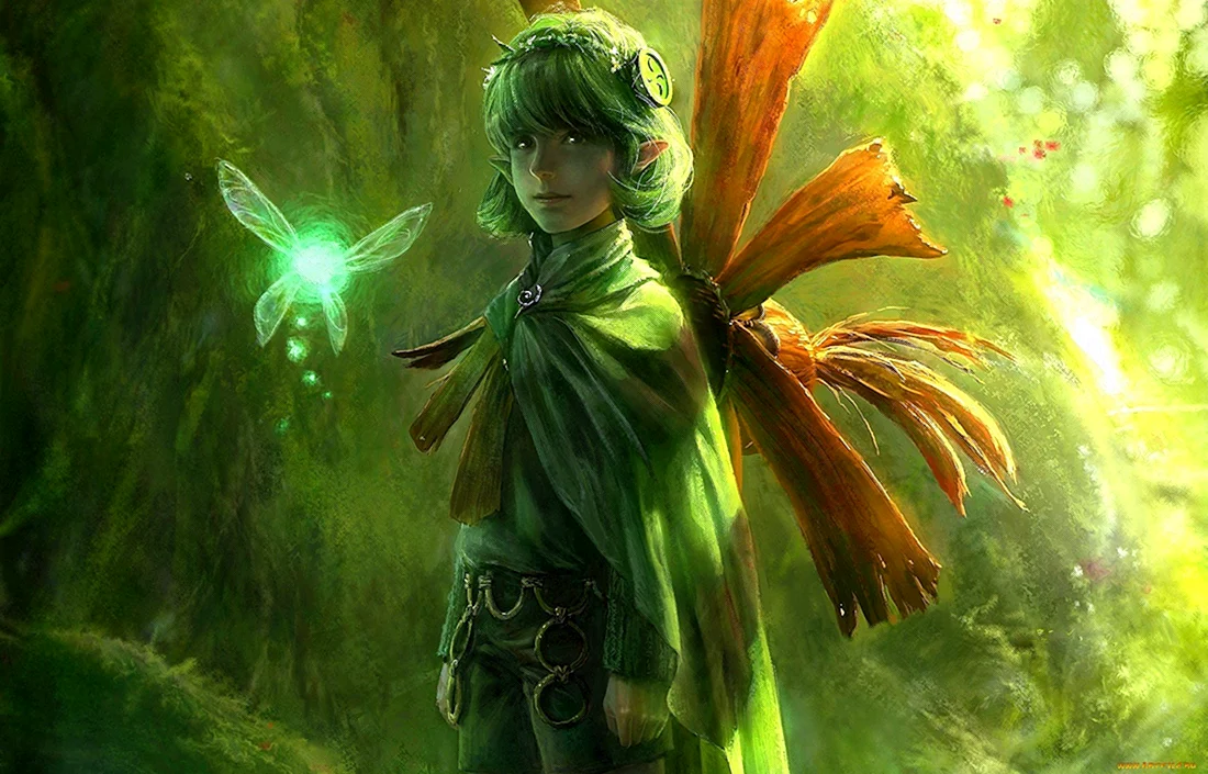 The Legend of Zelda Фея