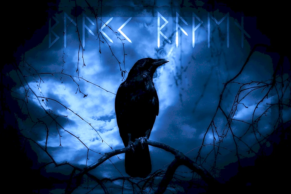 The Raven