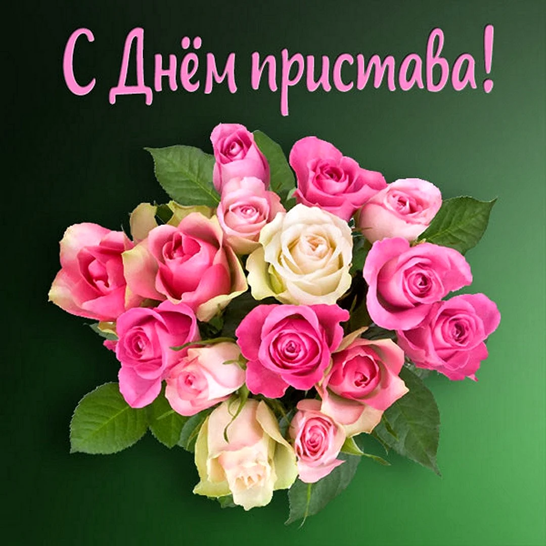 Томик с днем рождения