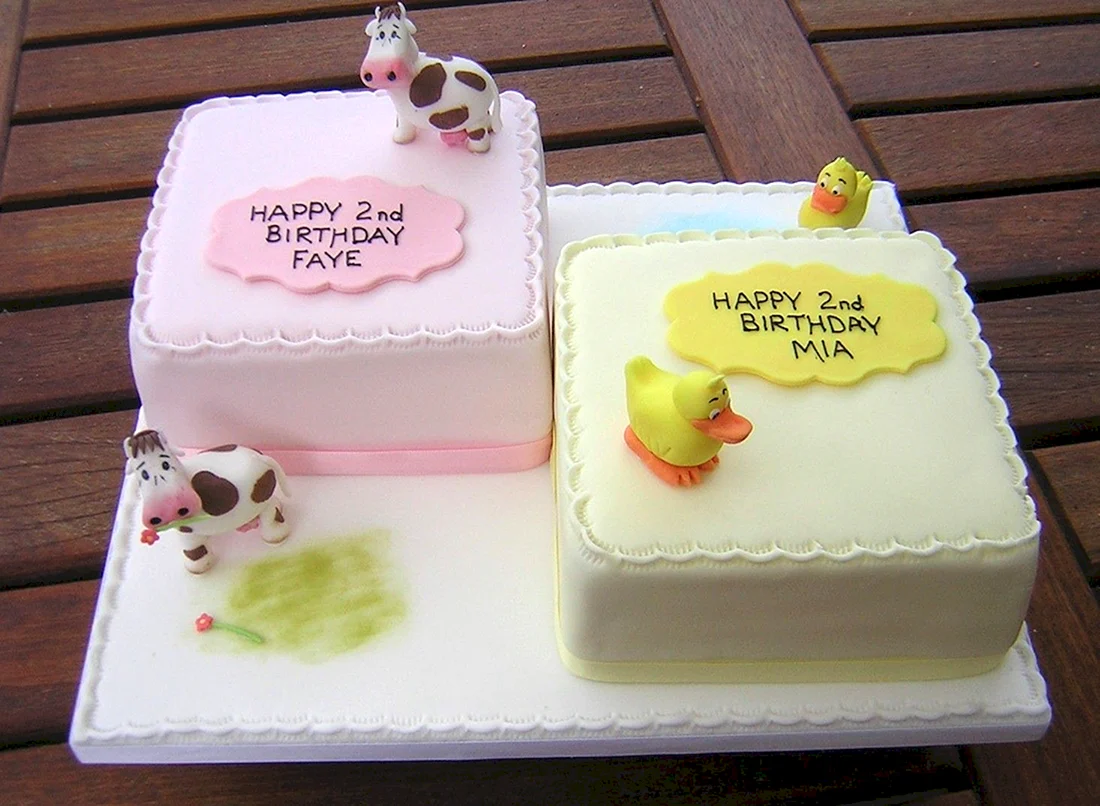 Торт для близнецов