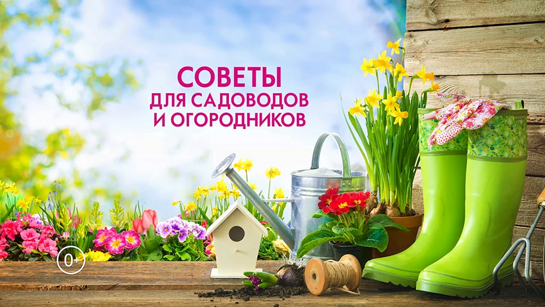 Товары для сада