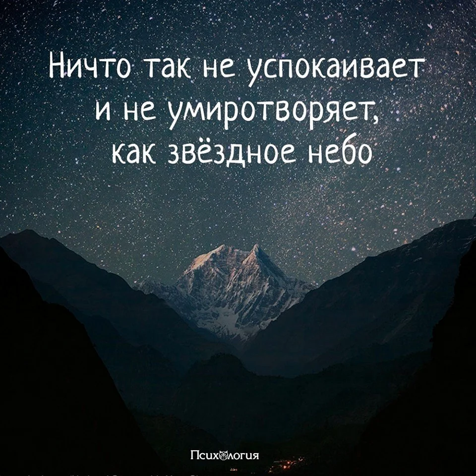 Цитаты