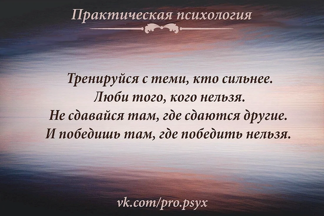 Цитаты и высказывания о подлых людях