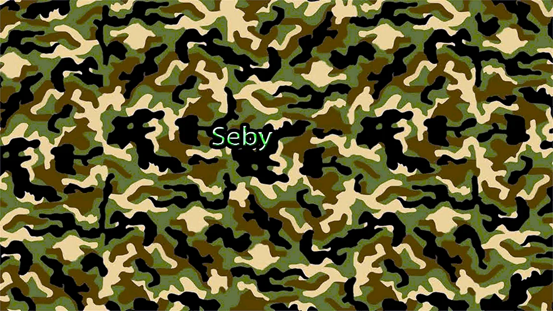 Цвет хаки 806b2a