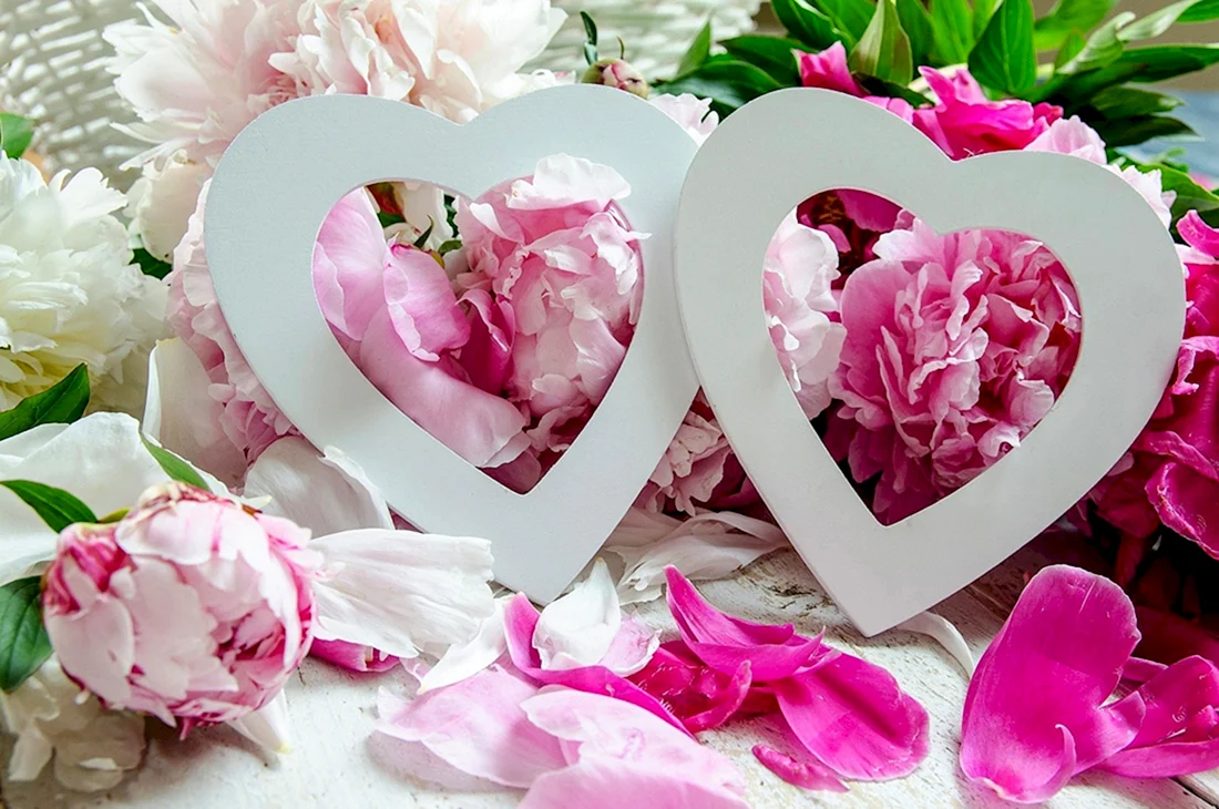 Цветы сердечки