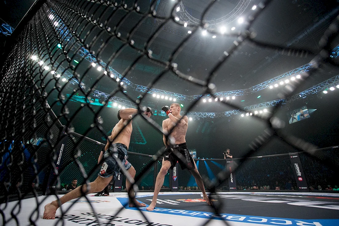 UFC Арена октагон
