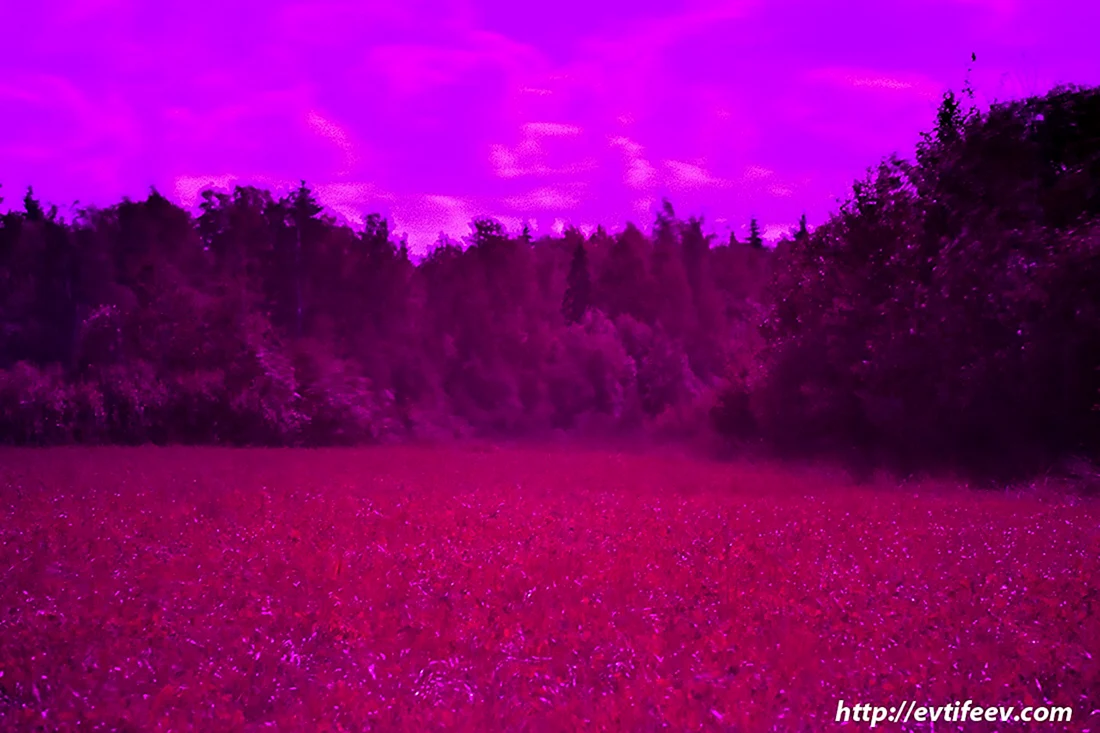 Ультрафиолет цвет