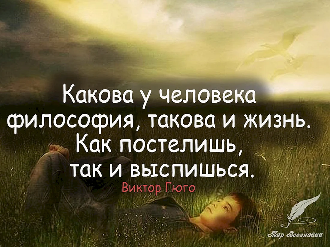 Умные высказывания