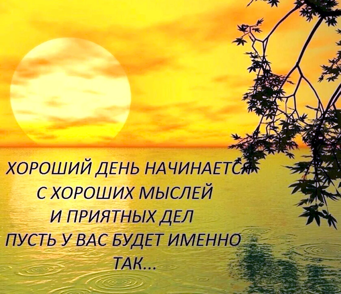 Умные высказывания на каждый день