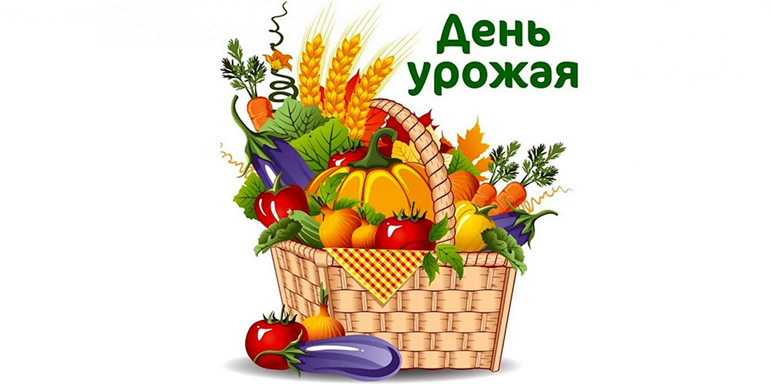 Урожай картинки