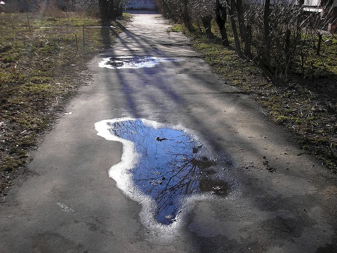 Уж на дороге