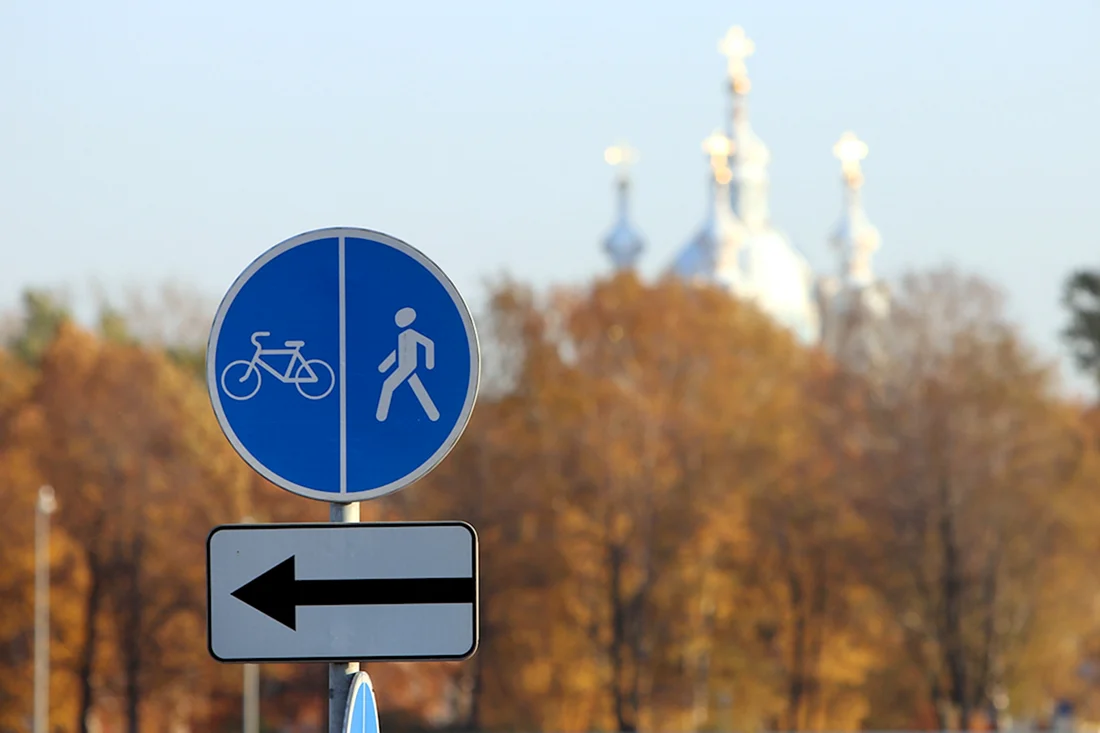 В Питере появились дорожные знаки Киев