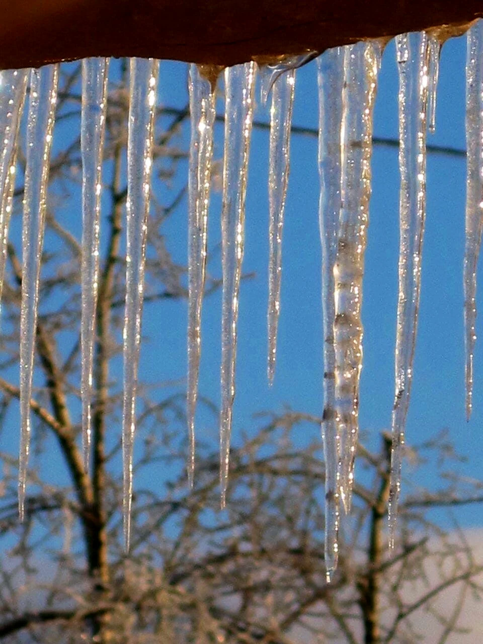 Весенняя капель