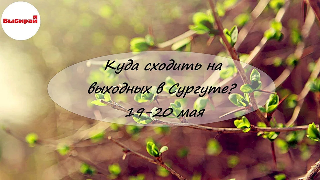 Весна высказывания красивые