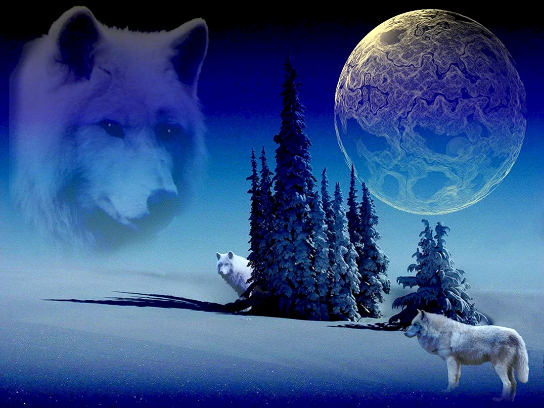 Волк и Луна