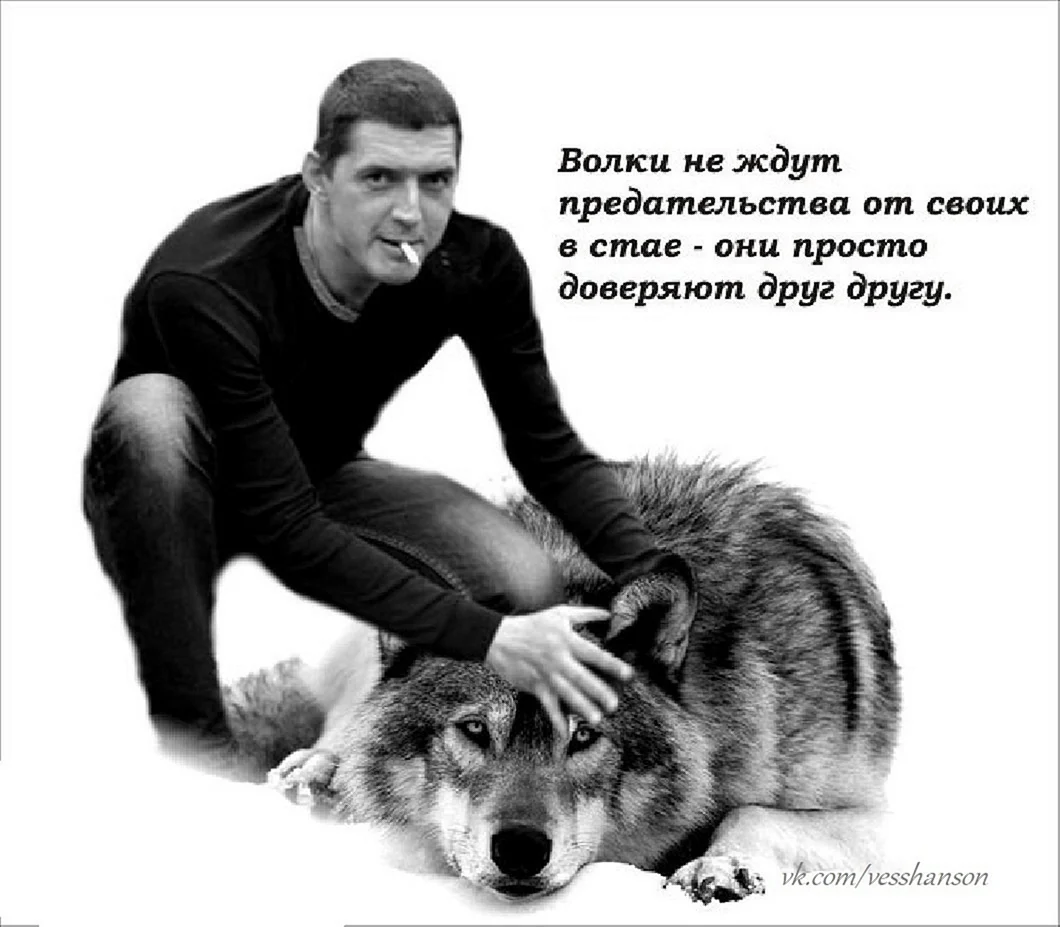 Волк не предаст