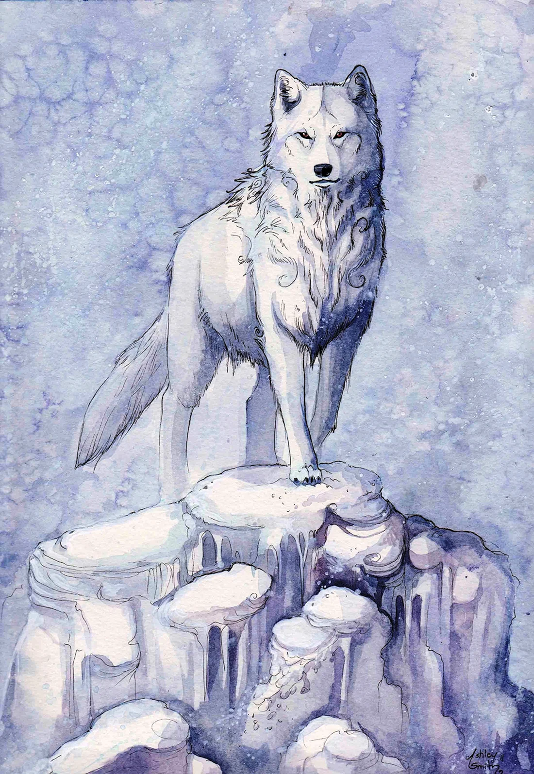 Волк рисунок