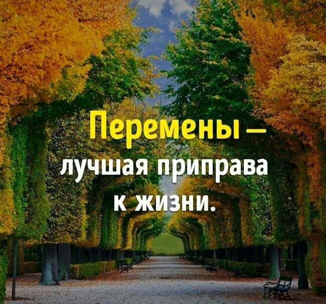 Высказывания о переменах в жизни