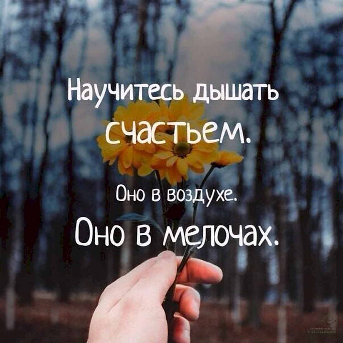 Высказывания о счастье