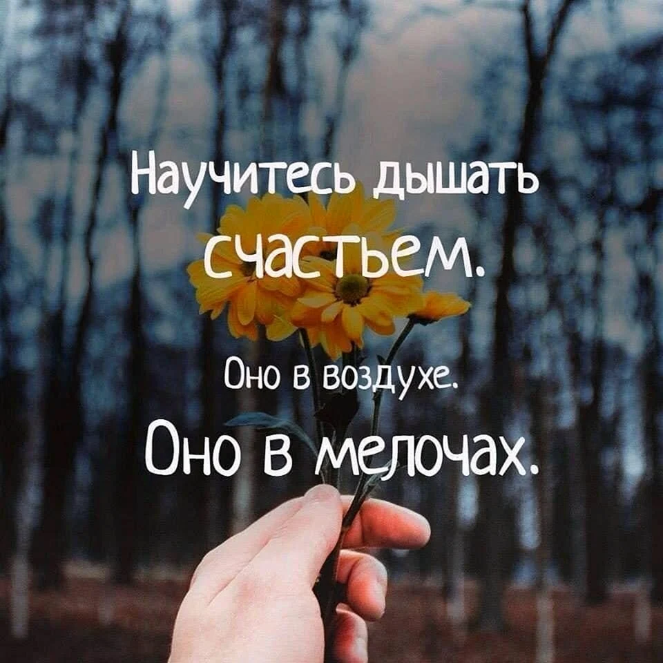 Высказывания о счастье
