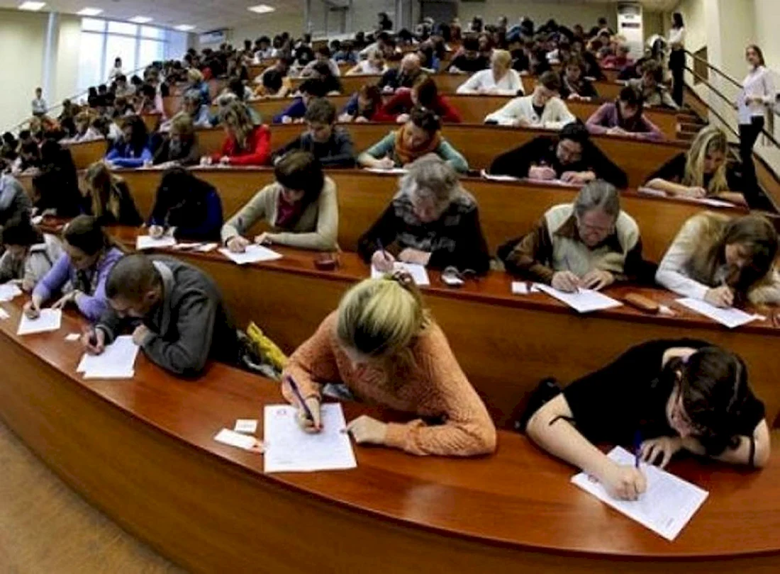 Высшее образование