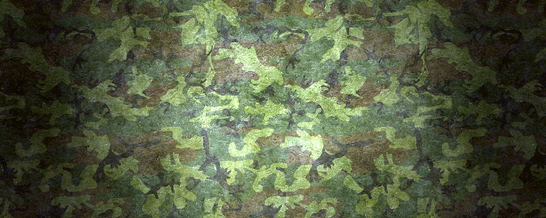 Woodland Camouflage 4r