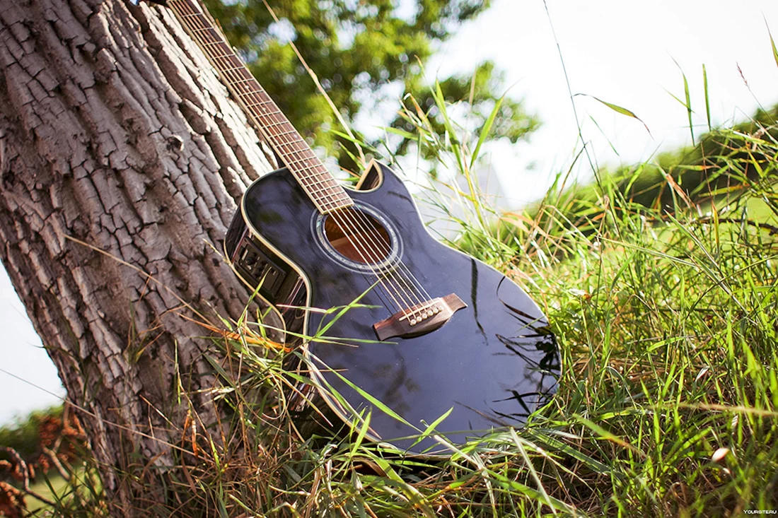 Yamaha f310 natural