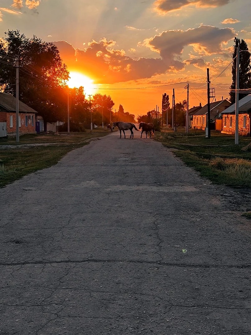 Картинки заката в деревне (43 фото)