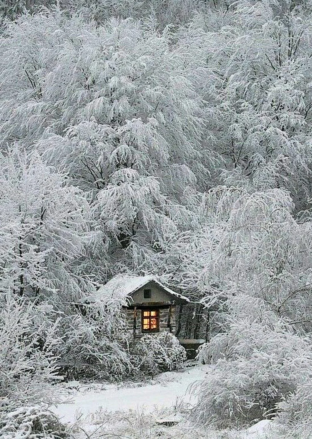 Заснеженный домик