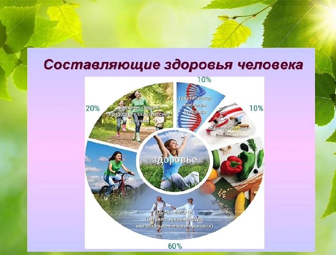 Здоровый образ жизни