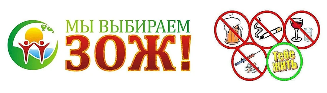 Здоровый образ жизни