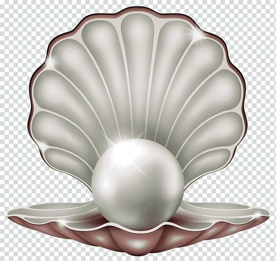 Жемчуг Shell Pearl