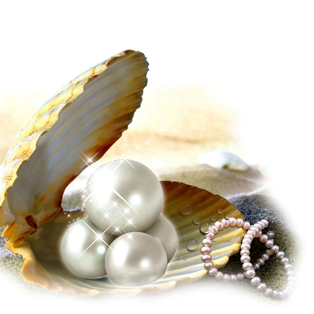 Жемчуг Shell Pearl