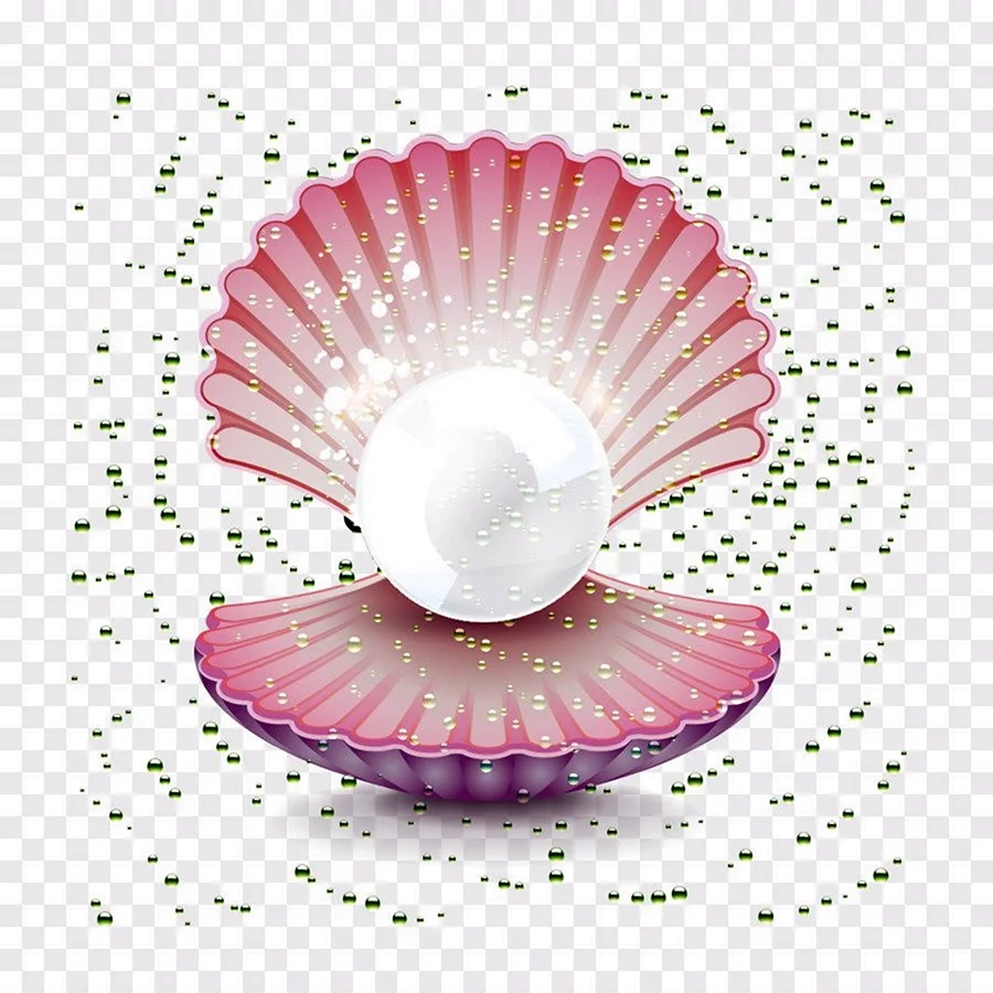 Жемчуг Shell Pearl