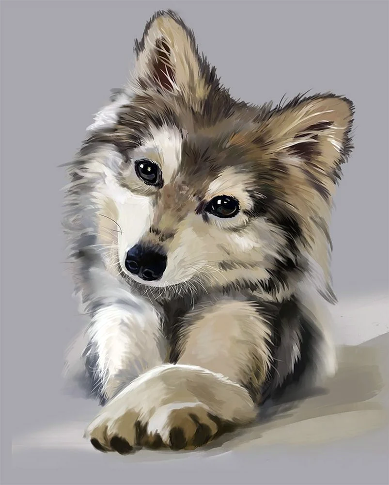 Животные рисунки