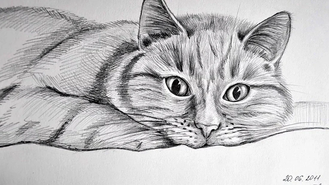 Животные рисунки