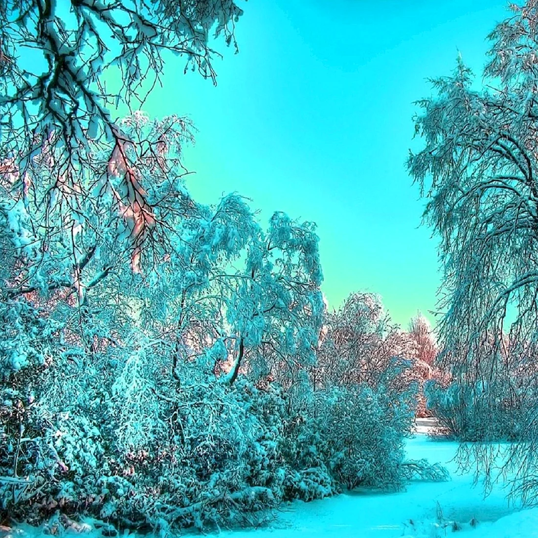 Зима