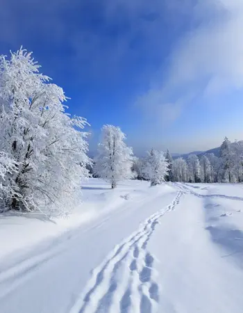 Зима HD