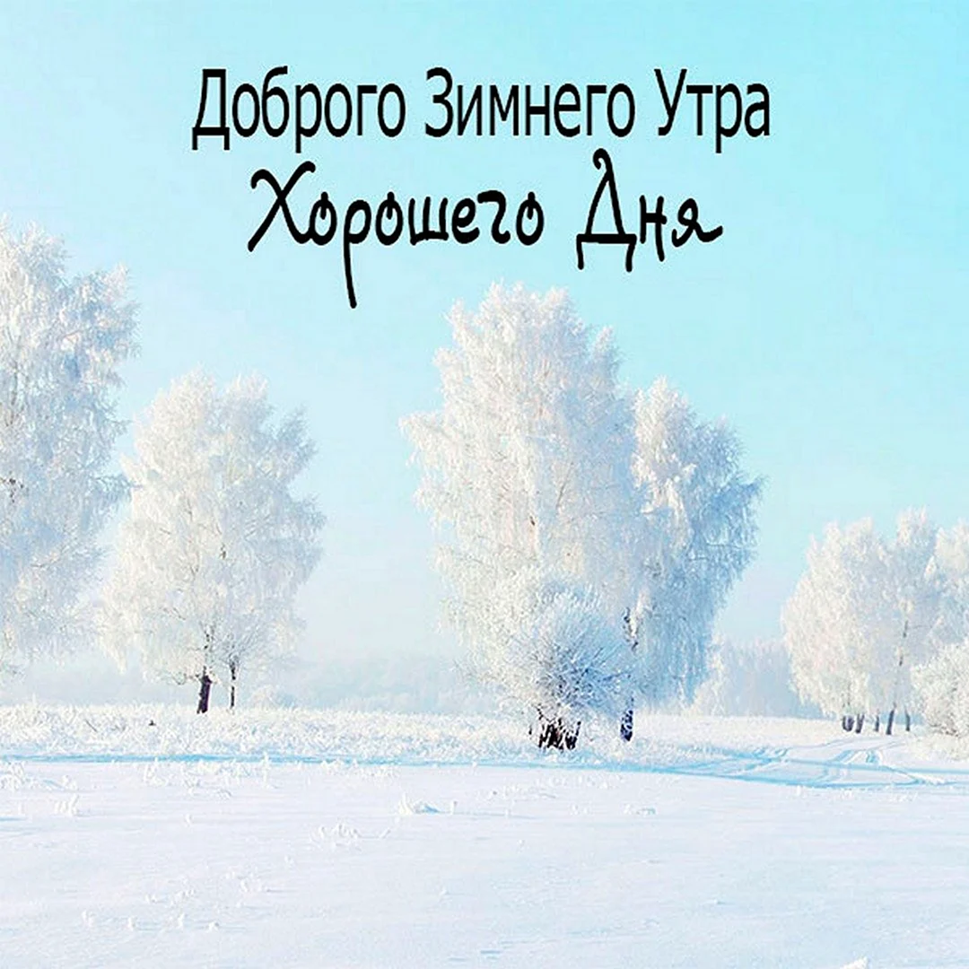 Зимнее утро