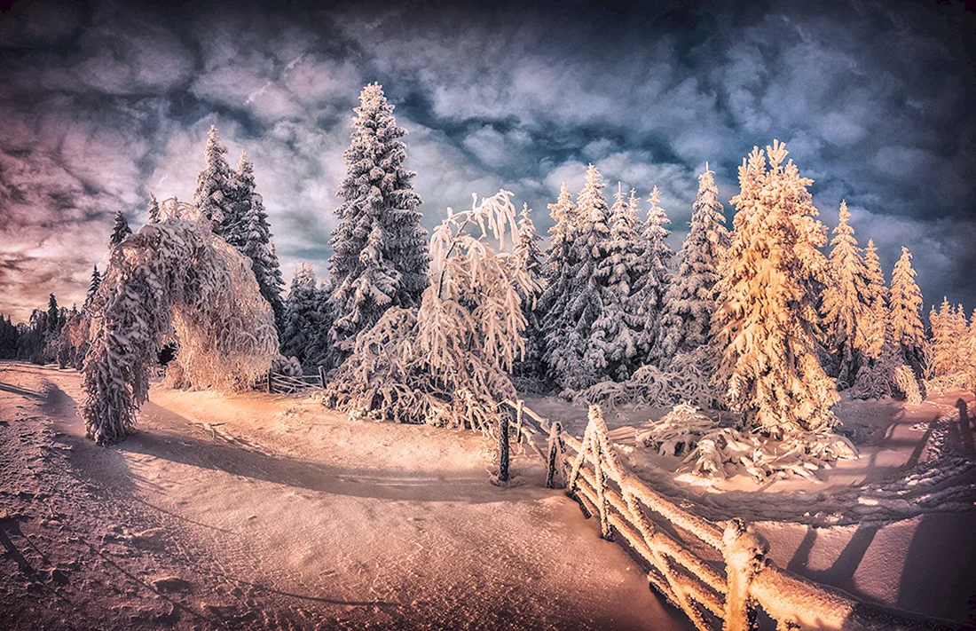 Зимняя природа