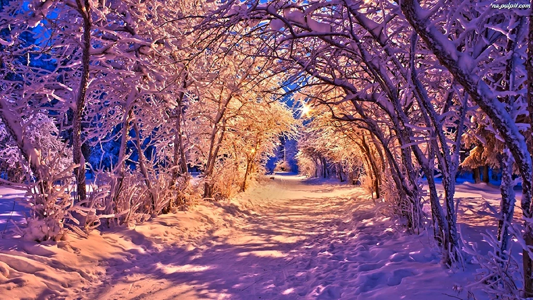 Зимний пейзаж