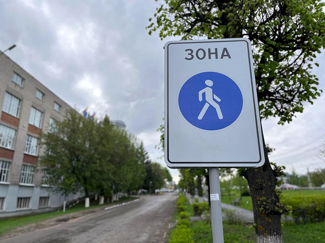 Знак не пешеходная зона