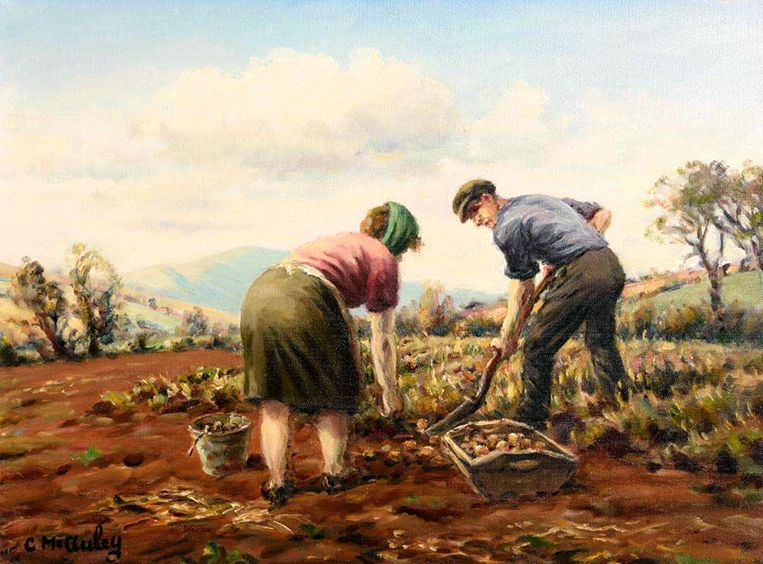 А.А. пластов «сбор картофеля» 1956г.
