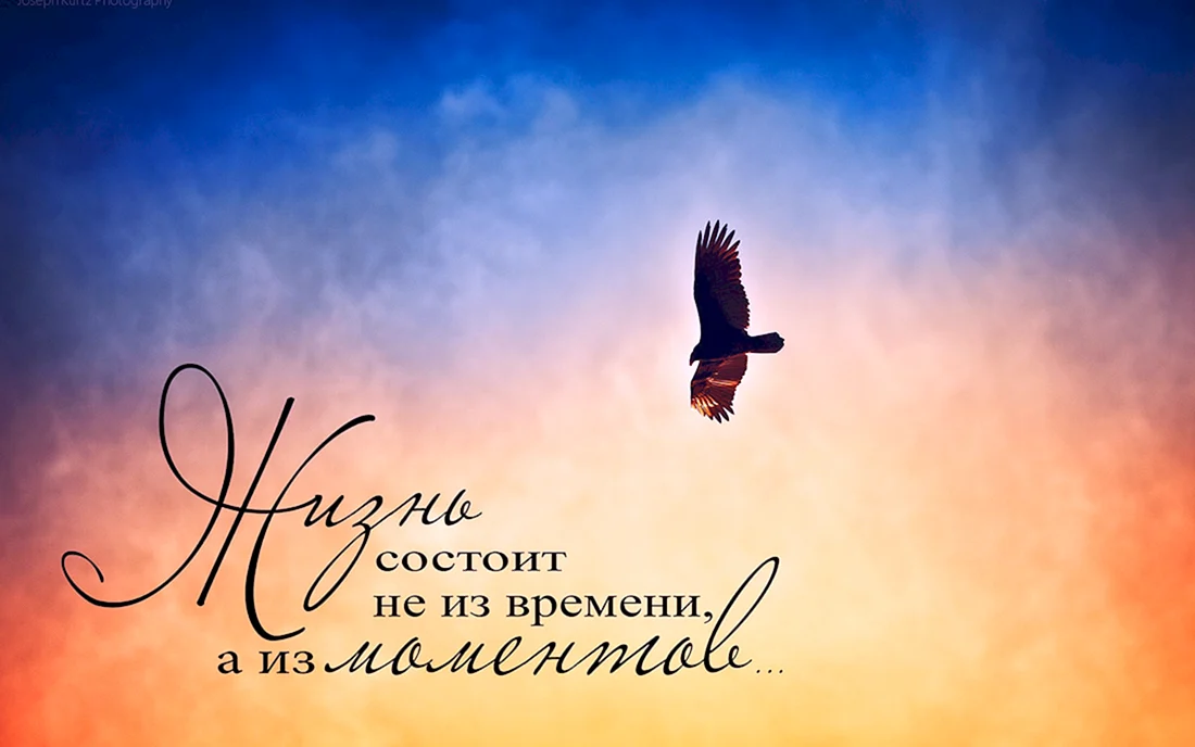 Афоризмы про счастье