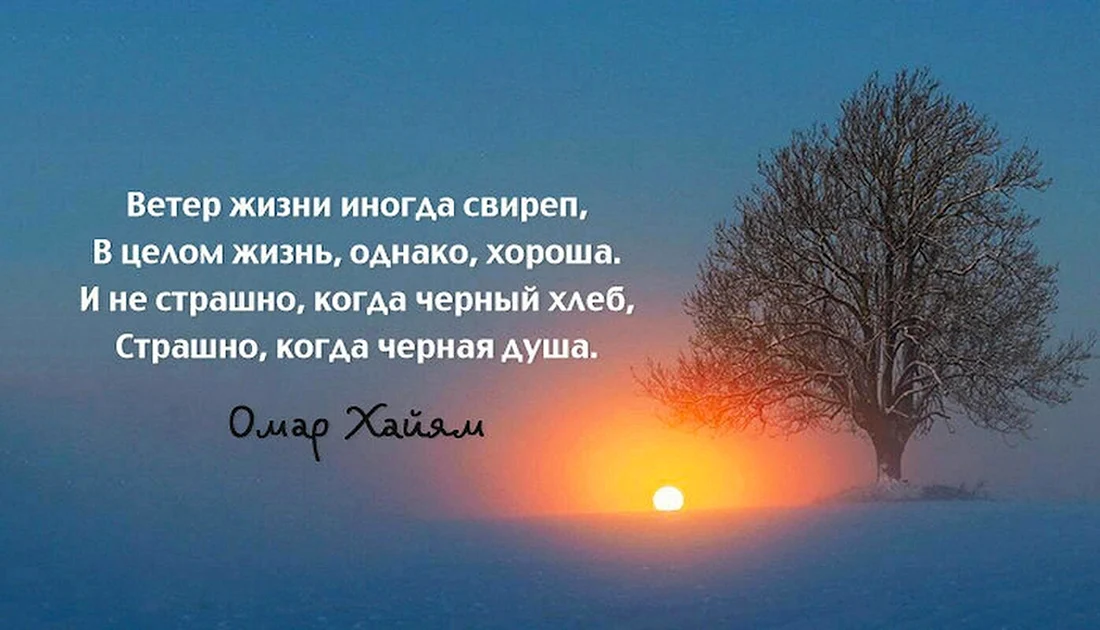 Афоризмы про жизнь