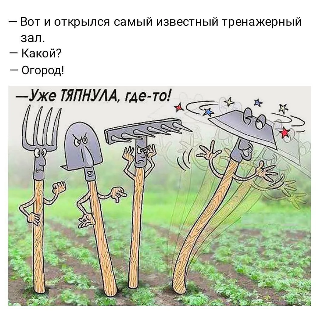 Анекдоты про дачу в картинках