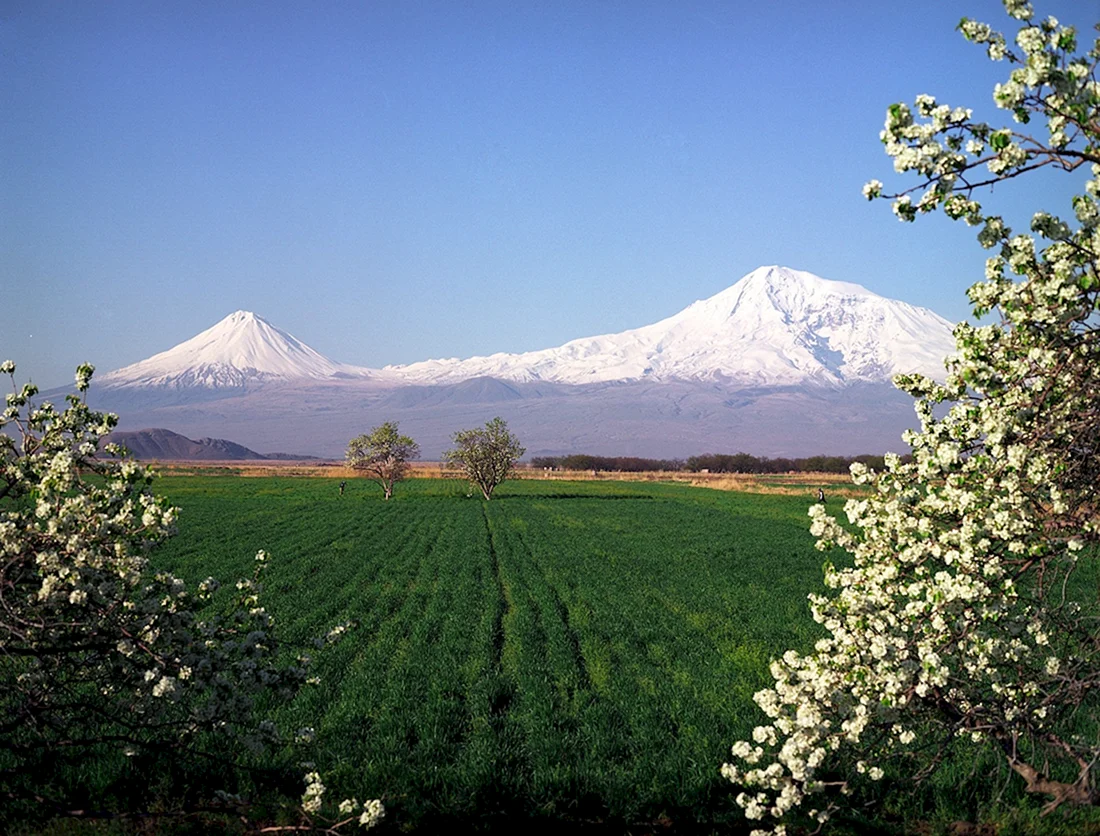Араратская Долина Армения