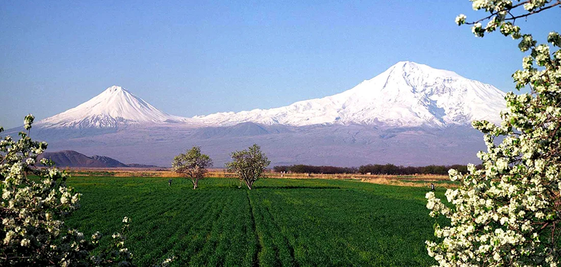 Араратская Долина Армения